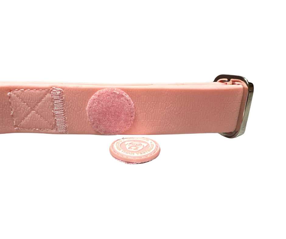 BTactical 2.5cm PVC Dog Collar - Pastel Pink