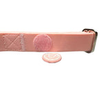BTactical 2.5cm PVC Dog Collar - Pastel Pink