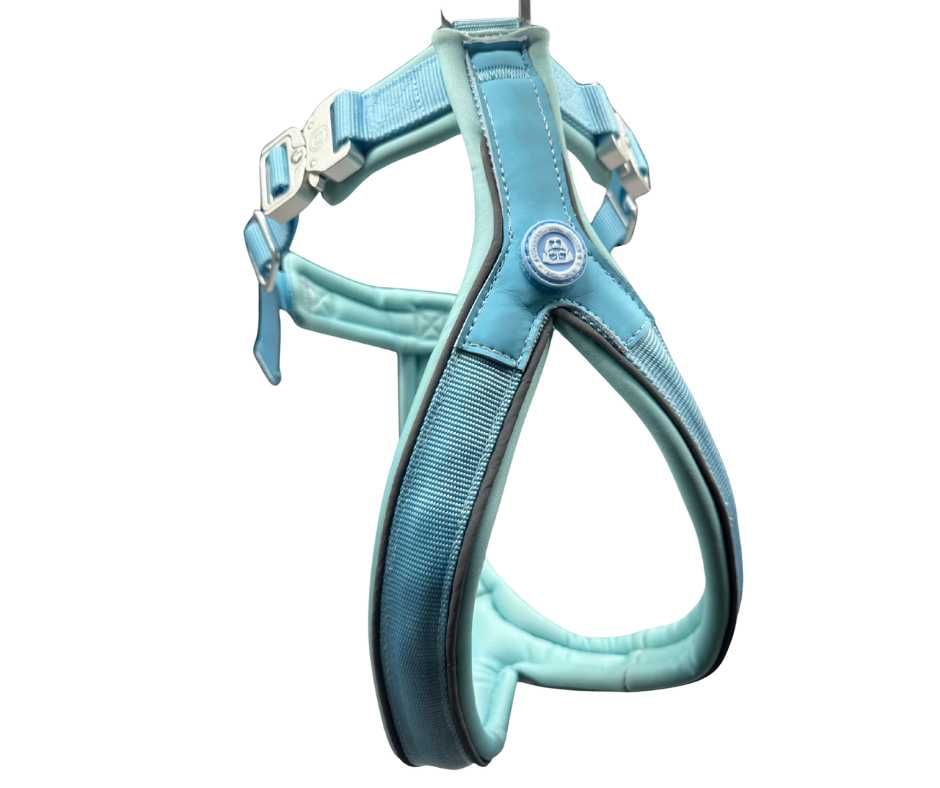 BTactical 2.5cm Slip-on Dog Harness - Pastel Blue