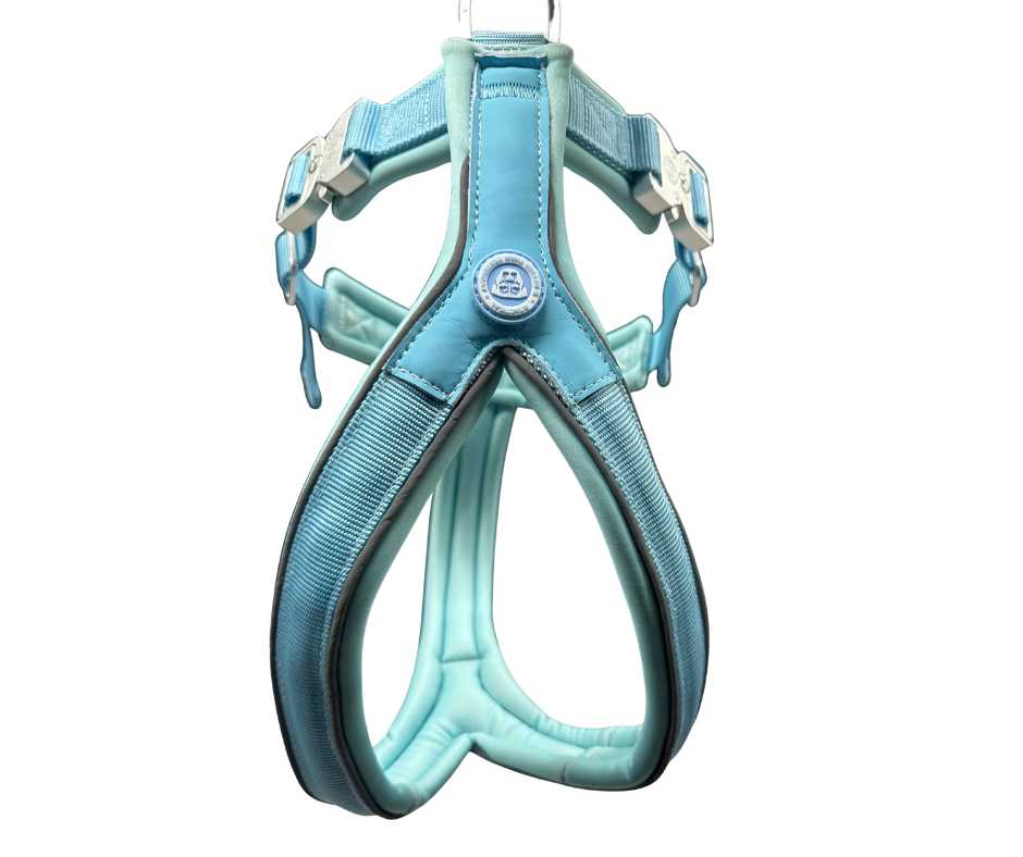 BTactical 2.5cm Slip-on Dog Harness - Pastel Blue