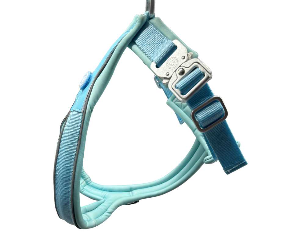 BTactical 2.5cm Slip-on Dog Harness - Pastel Blue