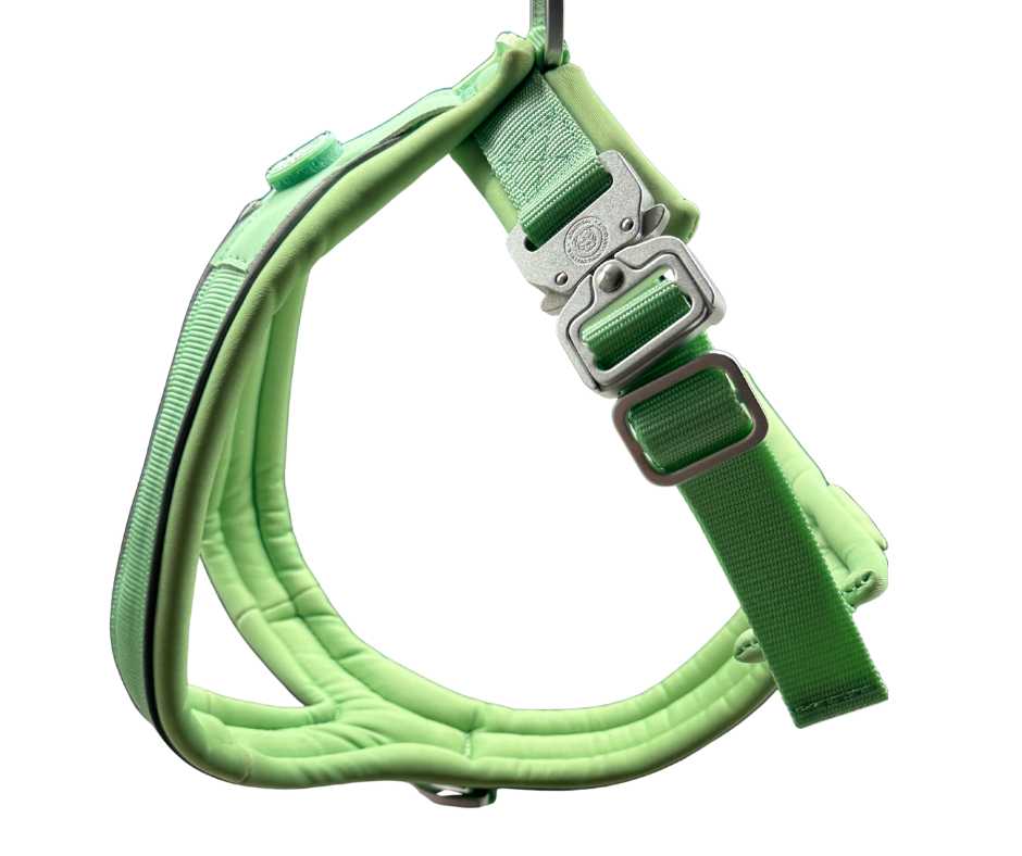 BTactical 2.5cm Slip-on Dog Harness - Pastel Green