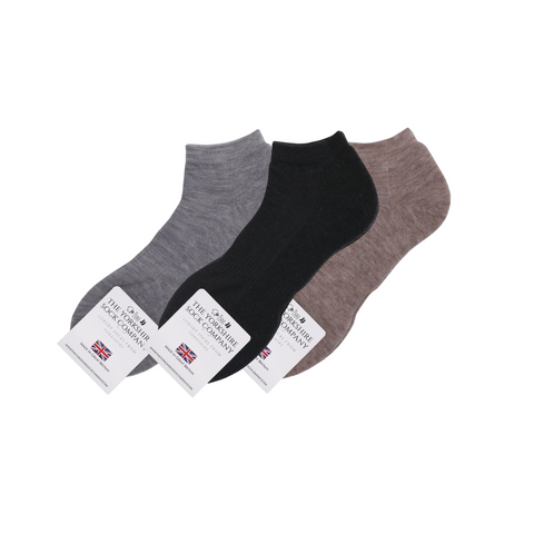 Ashville Pro Merino Men's Trainer Sock - Cushioned Sole - 3 Mixed Pair Bundle