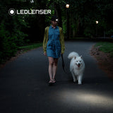Woman walking a white dog on a park path at night wearing a Ledlenser head torch