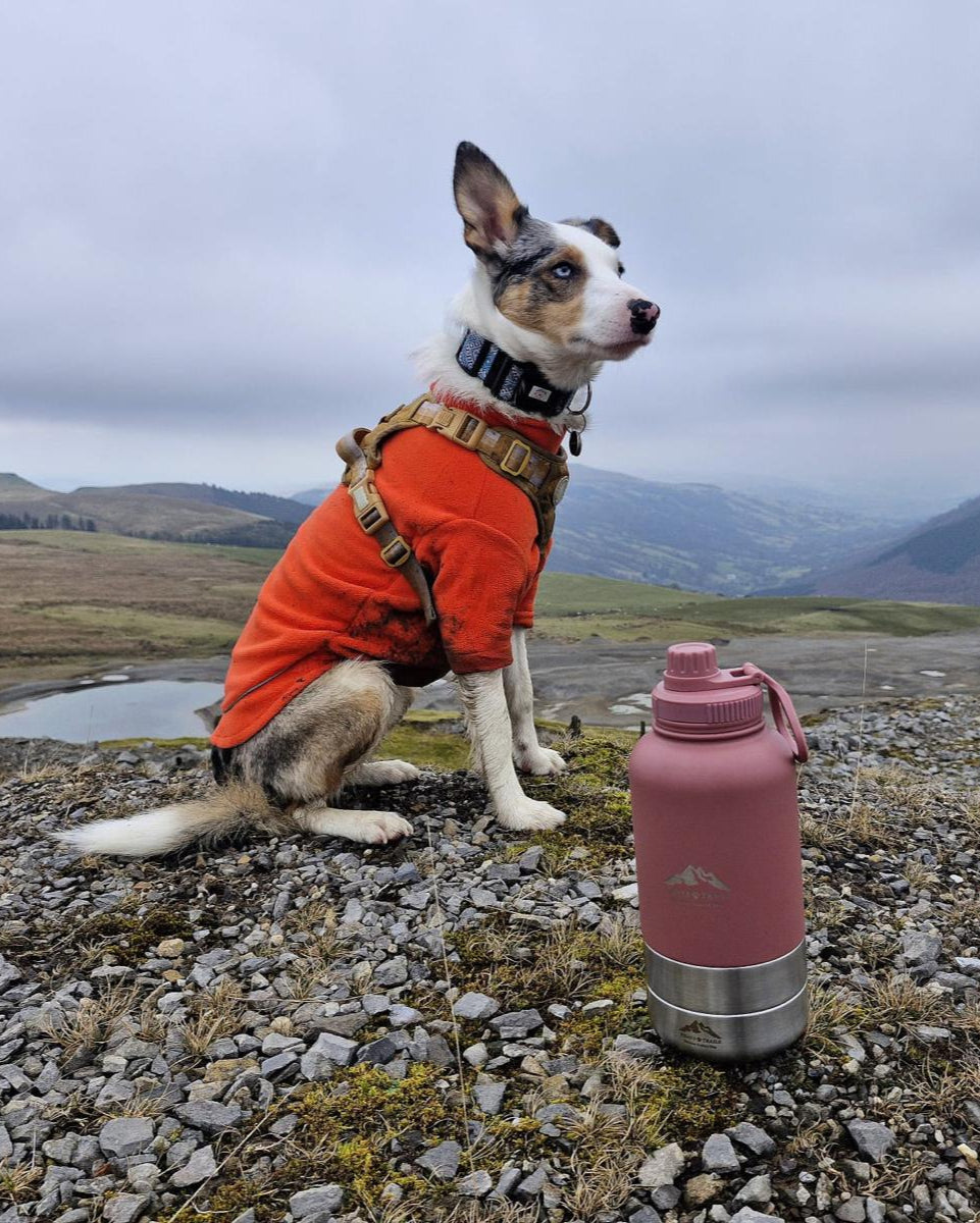 Fido's Trails 3-in-1 Dog Water Bottle | Portable Travel Bottle - Rosewood