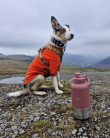 Fido's Trails 3-in-1 Dog Water Bottle | Portable Travel Bottle - Rosewood