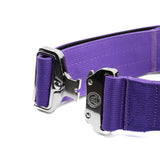BTactical 5cm Nylon Dog Collar - Lavender Purple