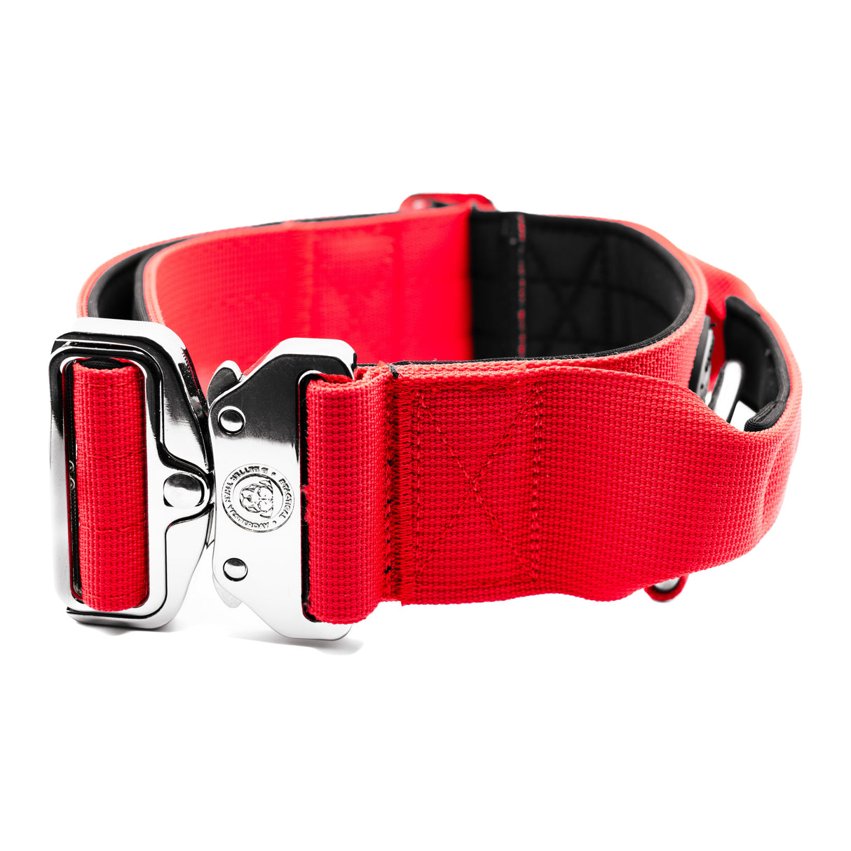 BTactical 5cm Nylon Dog Collar - Citrus Red