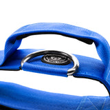 BTactical 5cm Nylon Dog Collar - Royal Blue