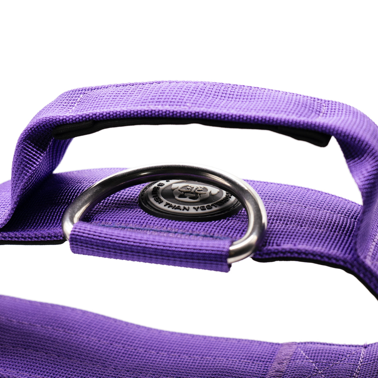 BTactical 5cm Nylon Dog Collar - Lavender Purple