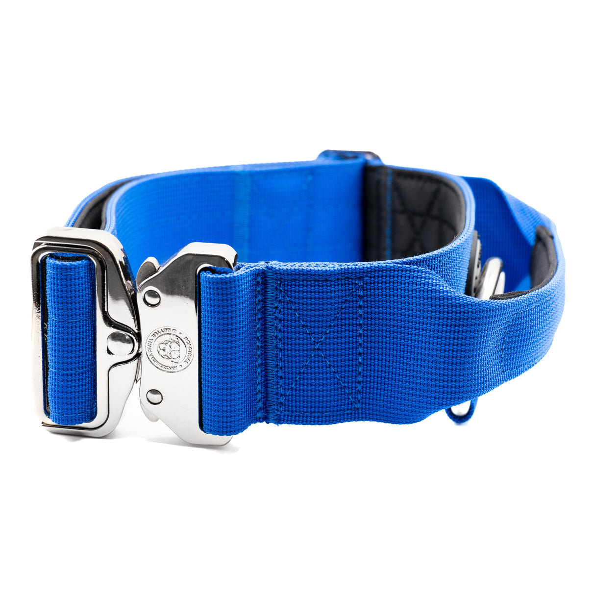 BTactical 5cm Nylon Dog Collar - Royal Blue