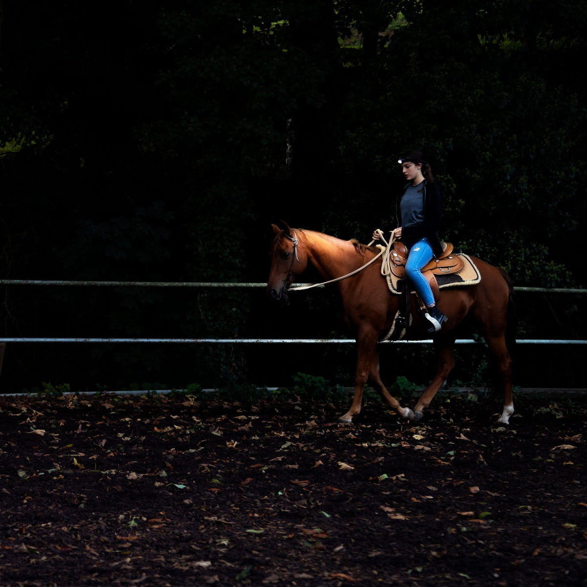 Rider on a chestnut horse in a dark arena, wearing a Ledlenser head torch