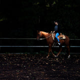 Rider on a chestnut horse in a dark arena, wearing a Ledlenser head torch