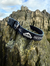Fido's Trails Signature Collar | Padded Adjustable Dog Collar