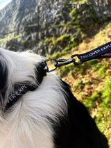 Fido's Trails Signature Collar | Padded Adjustable Dog Collar