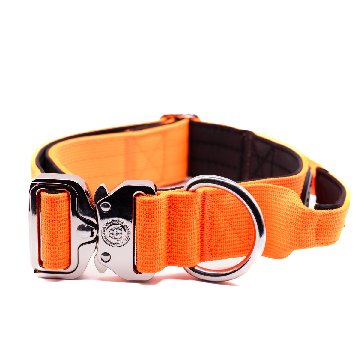 BTactical 4cm Nylon Dog Collar - Citrus Orange