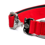 BTactical 4cm Nylon Dog Collar - Citrus Red