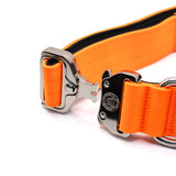 BTactical 4cm Nylon Dog Collar - Citrus Orange