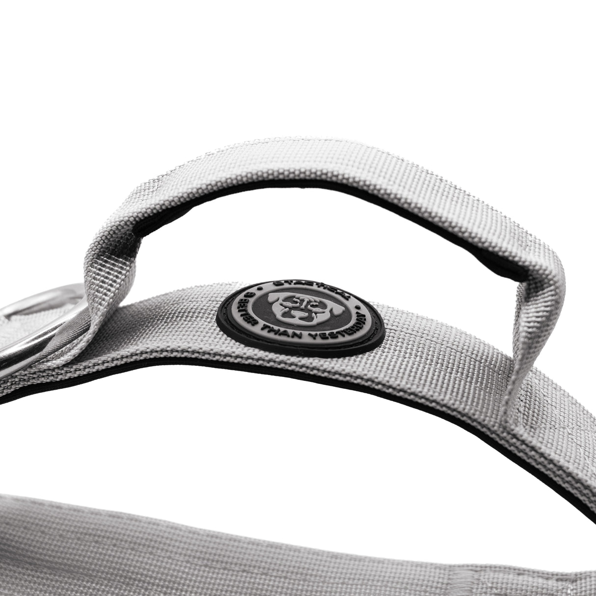 BTactical 4cm Nylon Dog Collar - Misty Grey