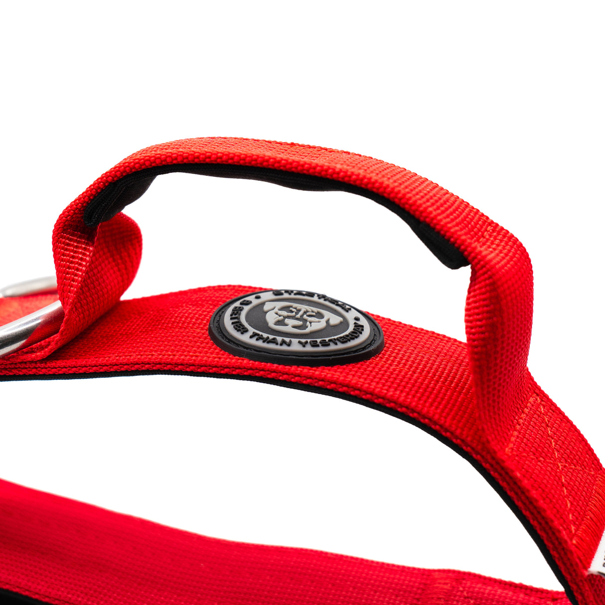BTactical 4cm Nylon Dog Collar - Citrus Red