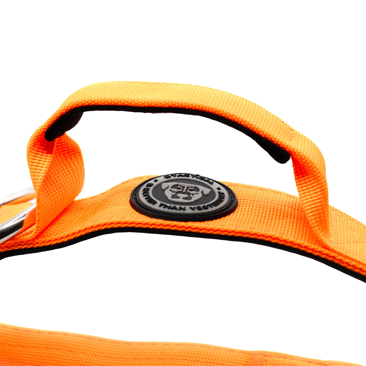 BTactical 4cm Nylon Dog Collar - Citrus Orange