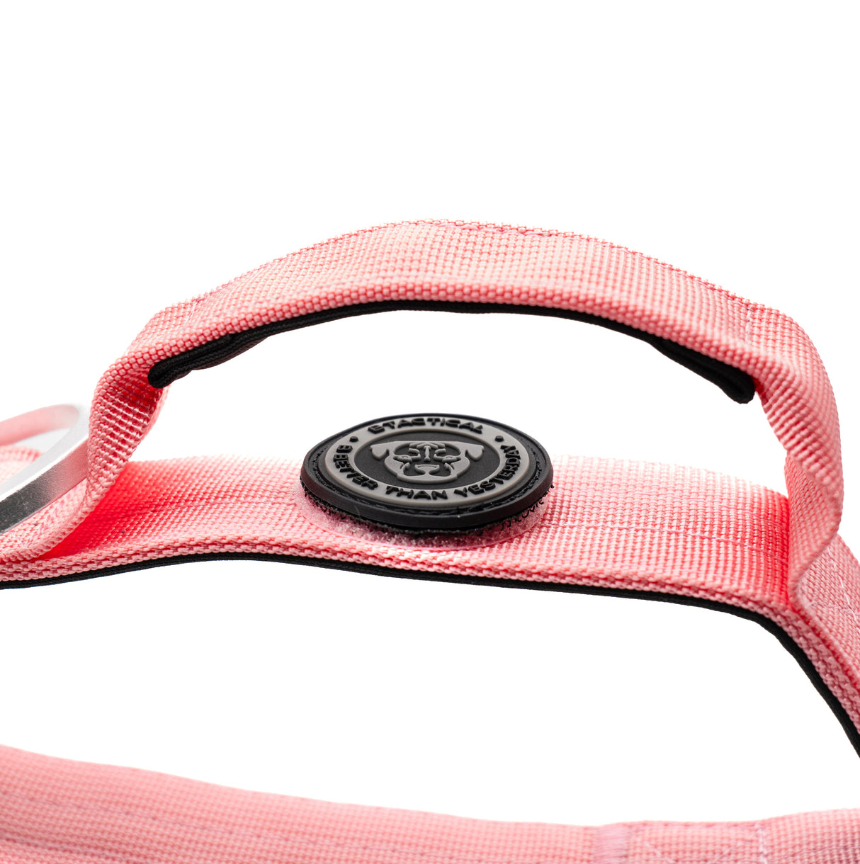 BTactical 4cm Nylon Dog Collar - Pretty Pink