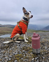 Fido's Trails 3-in-1 Water Bottle with Detachable Bowls – For Dogs & Owners, 1 Litre Rosewood