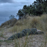 Snugpak Special Forces Bivvi Bag Olive Green | Task Outdoor