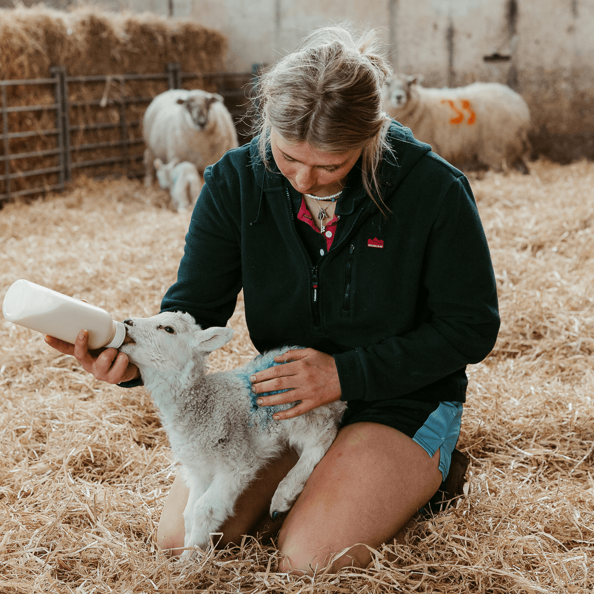 Sugar Loaf Dawnbreaker Polar Fleece Hoodie in Green for all day use