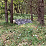 Highlander Basha Tarp - 2.5m x 1.7m - Ripstop Waterproof Shelter 5000mm