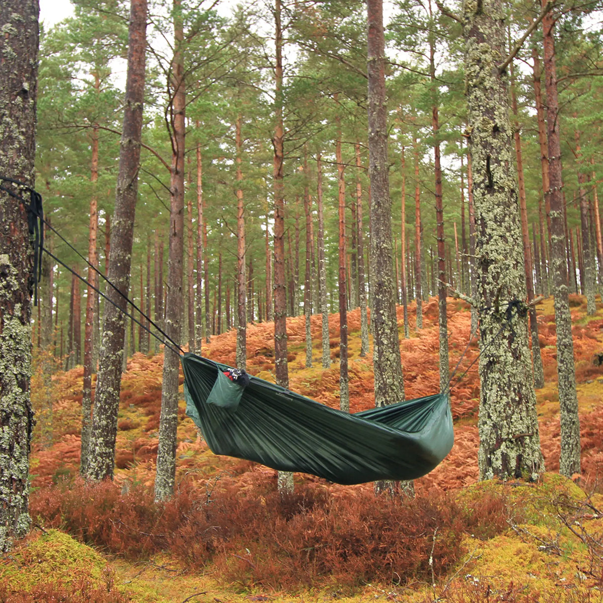 DD Camping Hammock in olive green for camping