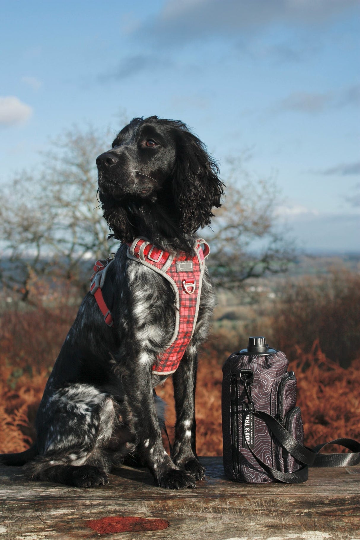 Fido's Trails Contour Trail Bottle Bag | Hands-Free Crossbody Carrier