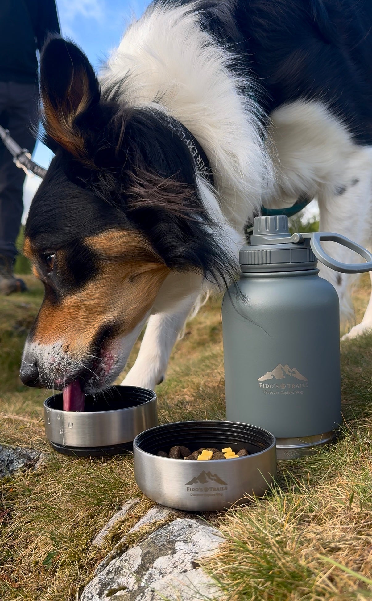 Fido's Trails 3-in-1 Dog Water Bottle | Portable Travel Bottle - Mountain Grey