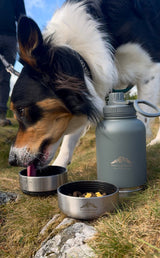 Fido's Trails 3-in-1 Dog Water Bottle | Portable Travel Bottle - Mountain Grey