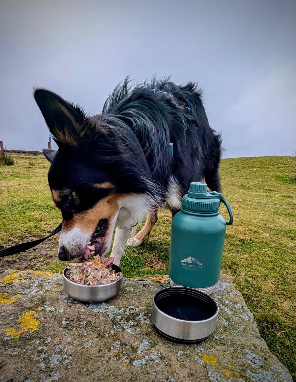 Fido's Trails 3-in-1 Dog Water Bottle | Portable Travel Bottle - Forest Green