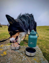 Fido's Trails 3-in-1 Dog Water Bottle | Portable Travel Bottle - Forest Green