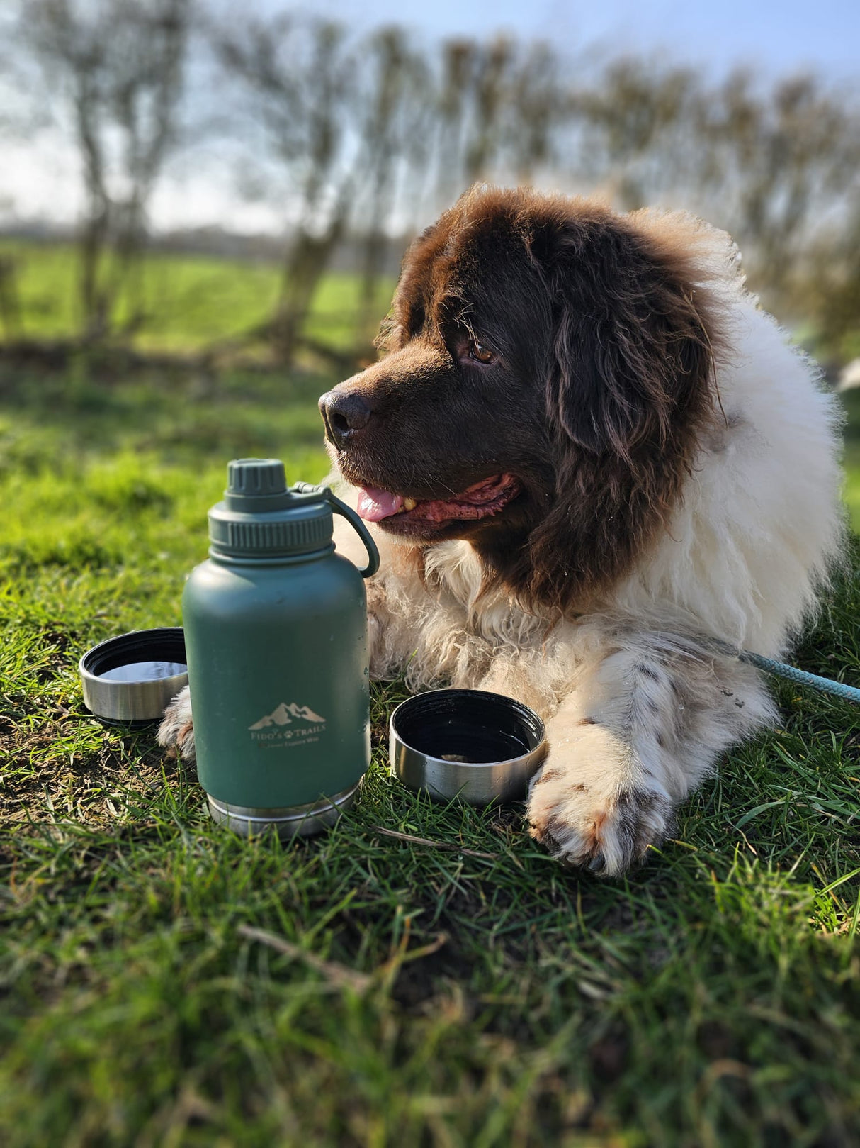 Fido's Trails 3-in-1 Dog Water Bottle | Portable Travel Bottle - Forest Green