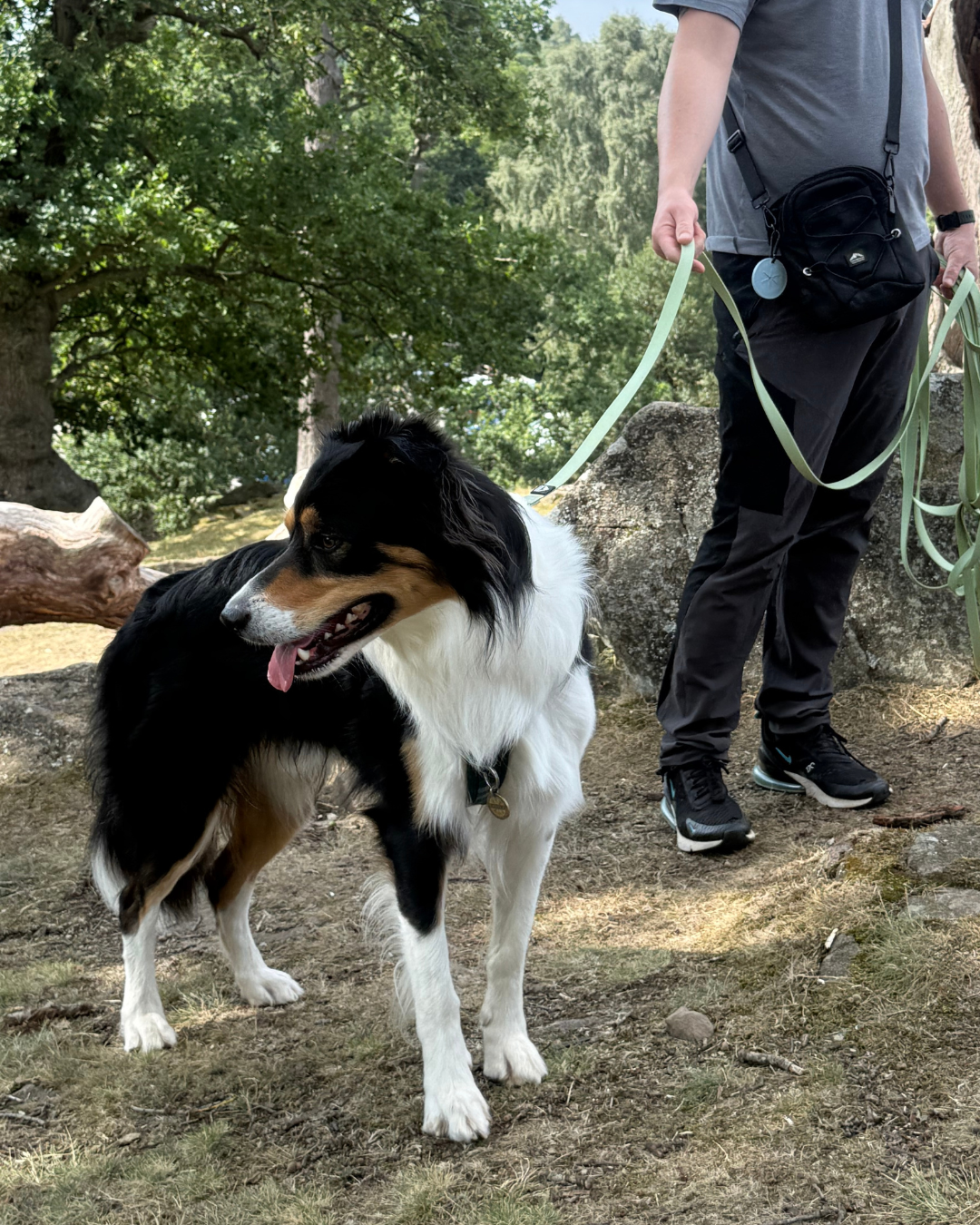 Fido's Trails 10m Dog Long Line | Waterproof Recall Training Lead