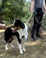 Fido's Trails 10m Dog Long Line | Waterproof Recall Training Lead