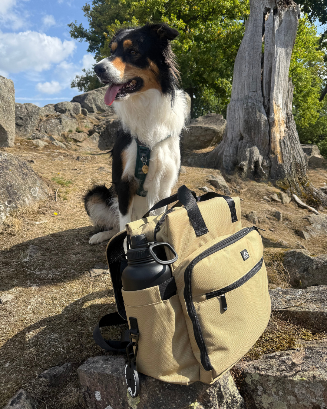 Fido's Trails Dog Weekender Travel Bag | Insulated Food Bag Set