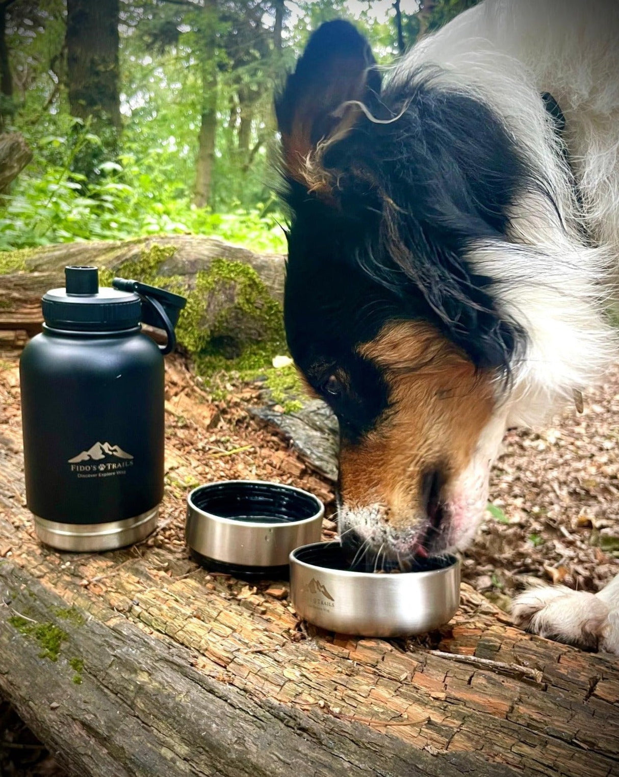 Fido's Trails 3-in-1 Dog Water Bottle | Portable Travel Bottle - Black