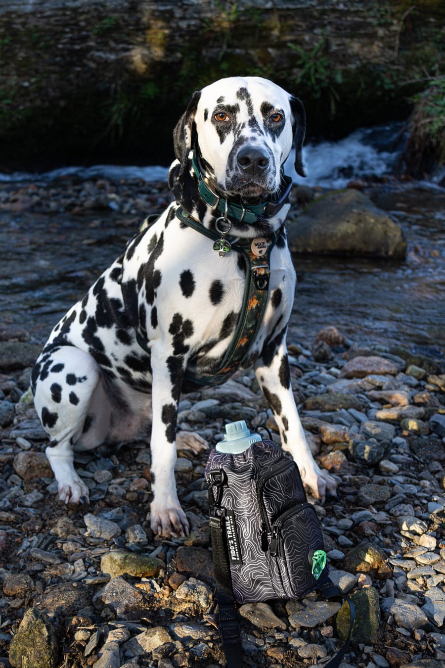 Fido's Trails Contour Trail Bottle Bag | Hands-Free Crossbody Carrier