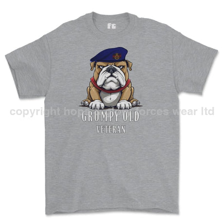 Grumpy Old Blues And Royals Veteran Printed T-Shirt - Sports Grey