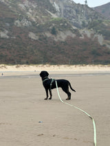 Fido's Trails 10m Dog Long Line | Waterproof Recall Training Lead