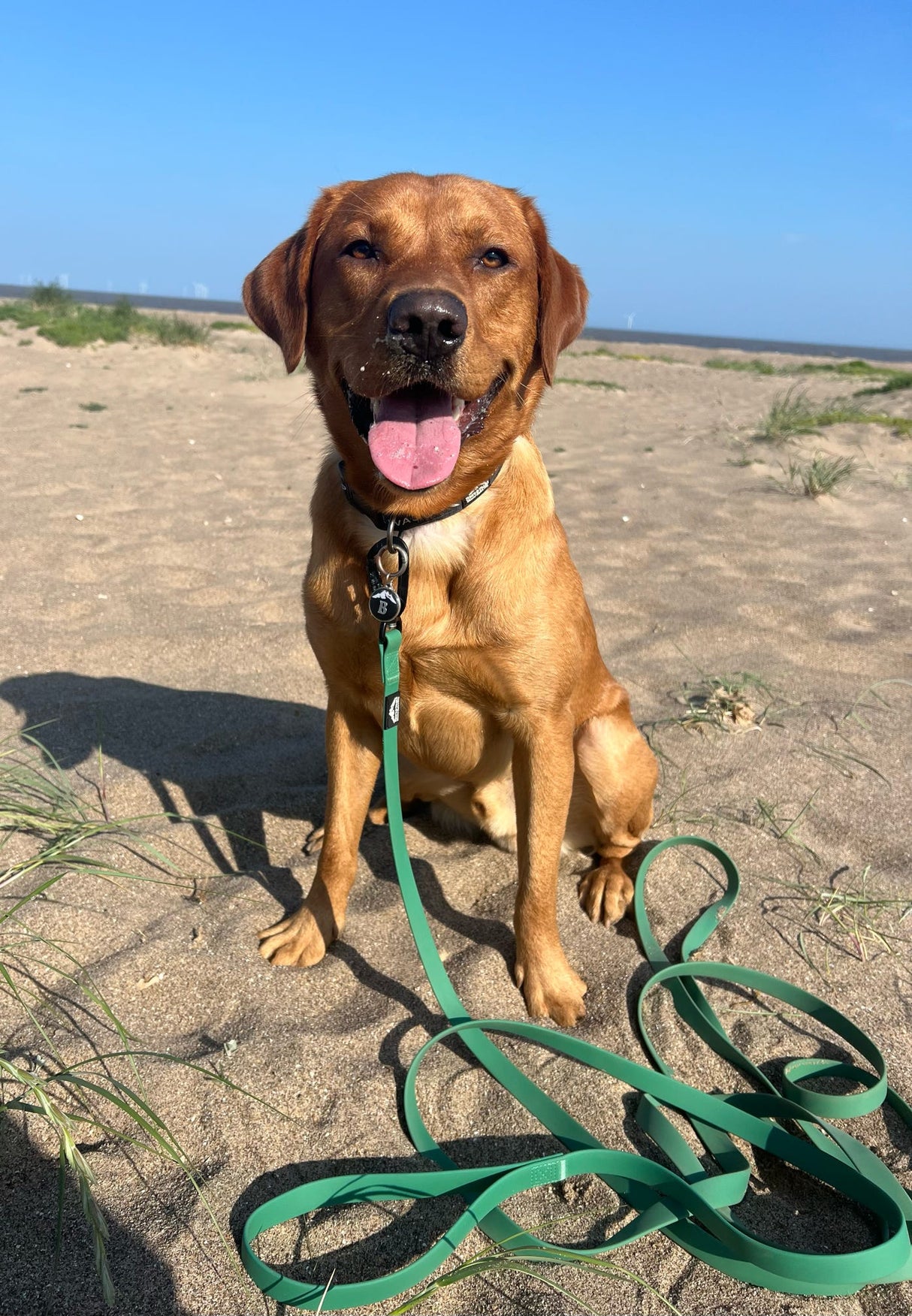 Fido's Trails 5m Dog Long Line | Waterproof Recall Training Lead