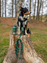 Fido's Trails 5m Dog Long Line | Waterproof Recall Training Lead