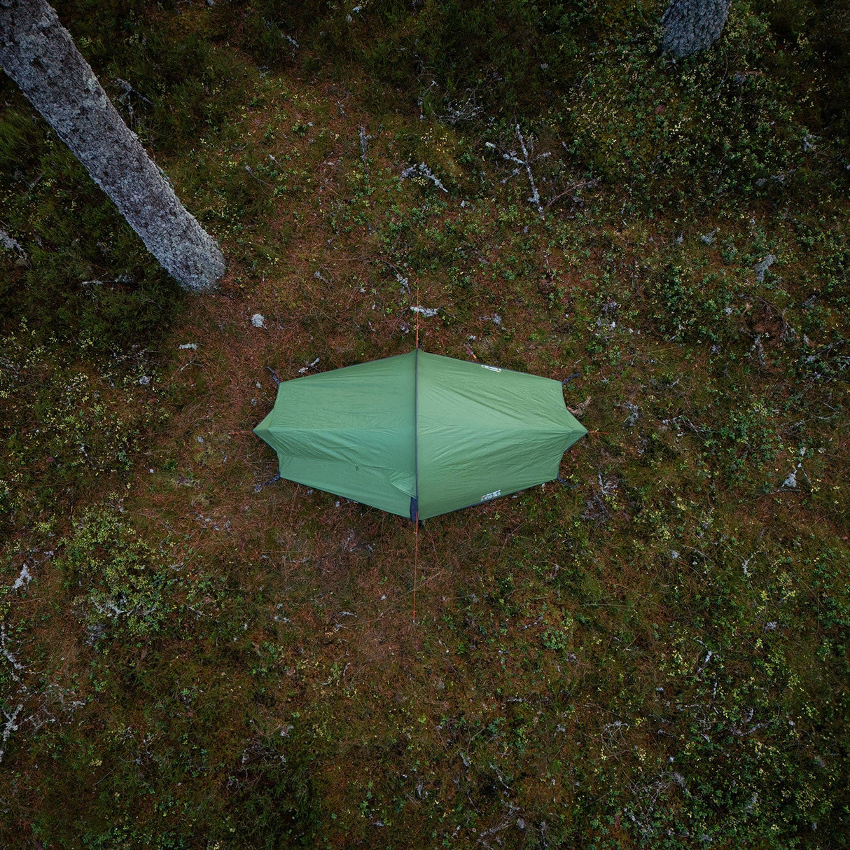 Vango Nevis 100 Tent in green for camping