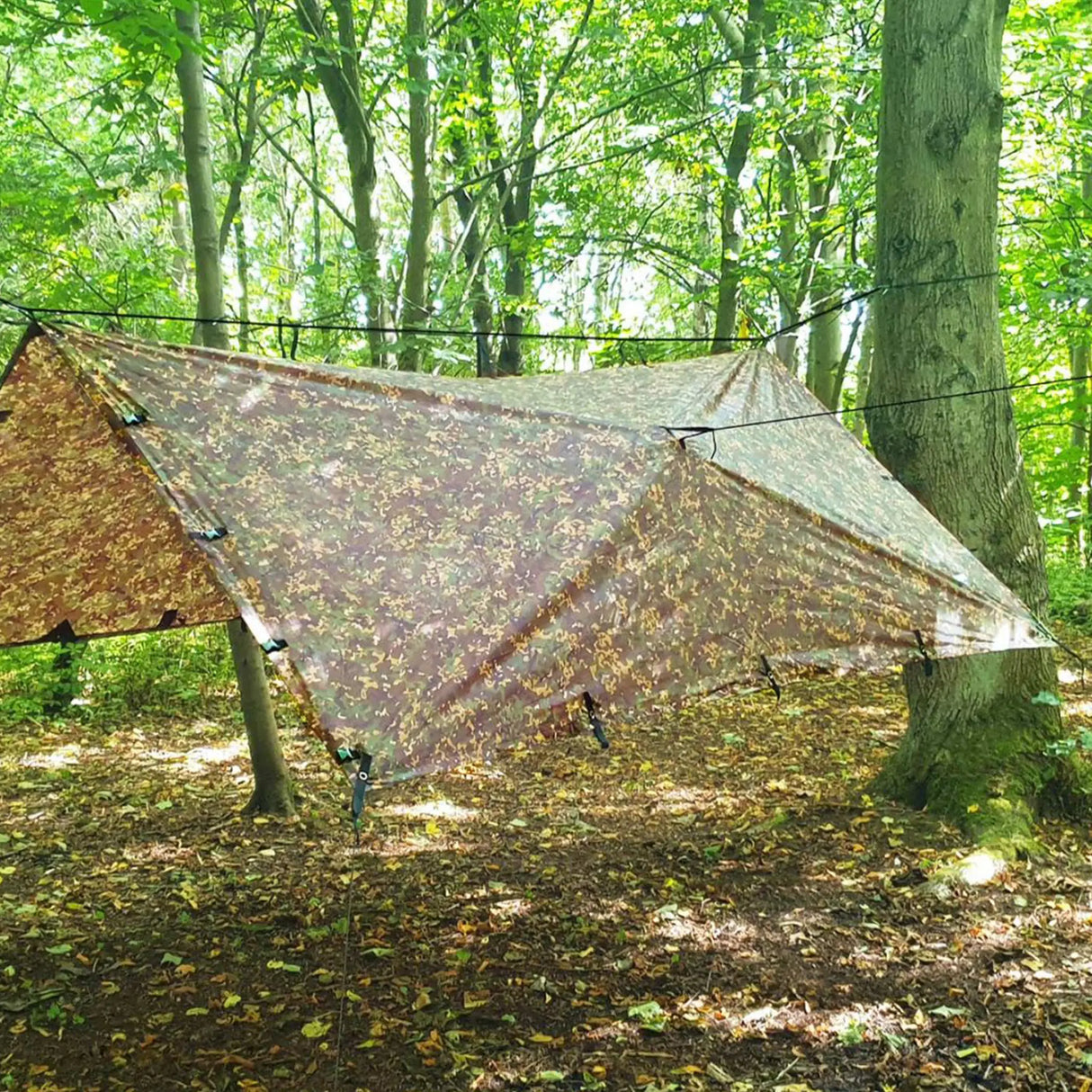 DD 3x3 Pro Tarp in MC camo for camping