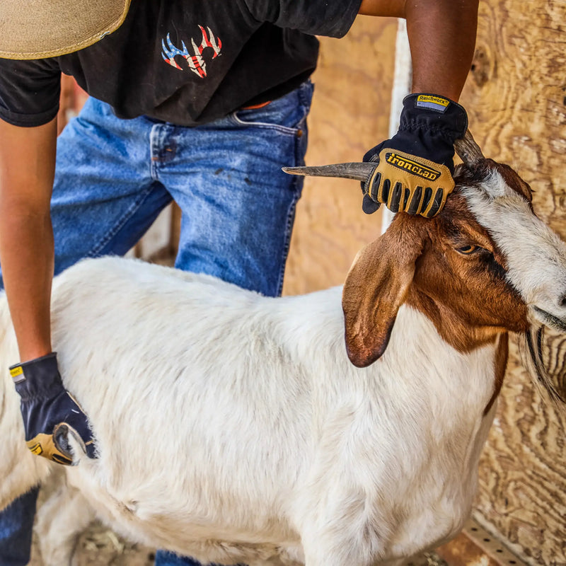 Ironclad Ranchworx Gloves for farm work