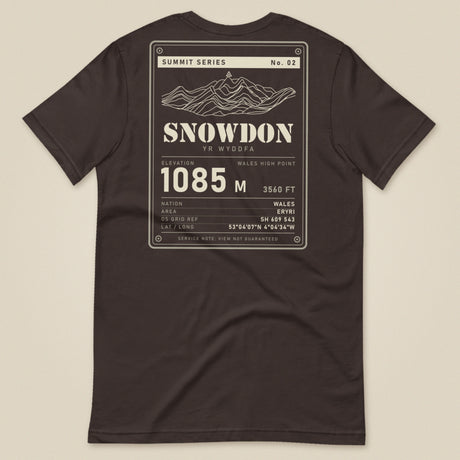Summit Series Snowdon T-Shirt in Brown, laid flat, back view